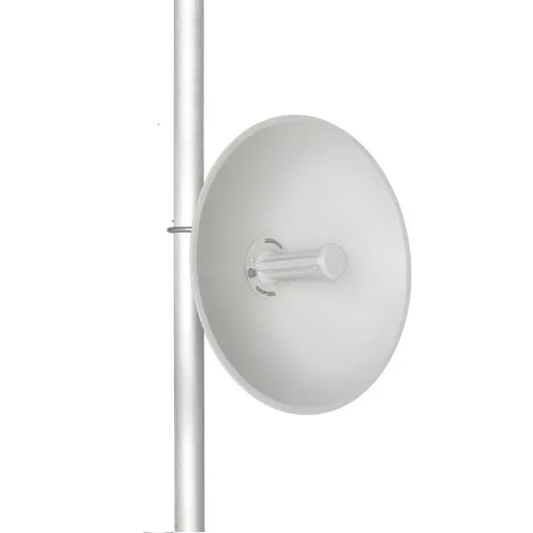 CAMBIUM