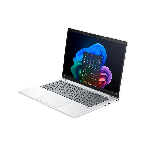 vista 4