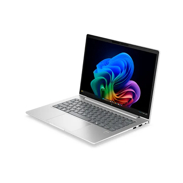 vista 4