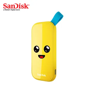 SANDISK