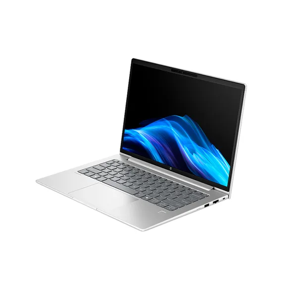 vista 4