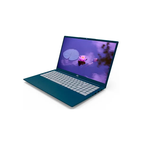 vista 4