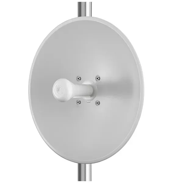 CAMBIUM