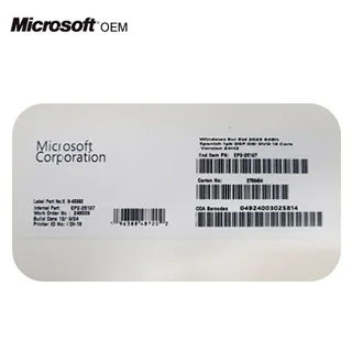 MICROSOFT OEM
