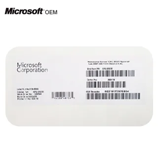 MICROSOFT OEM