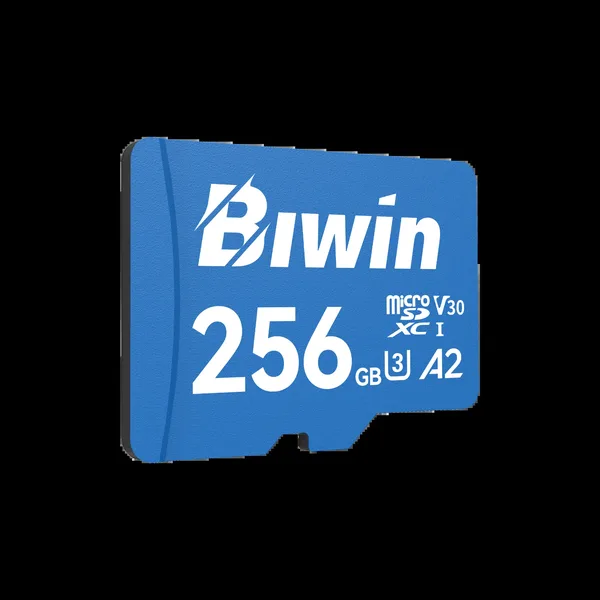 BIWIN