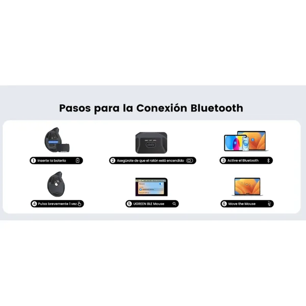 vista 5