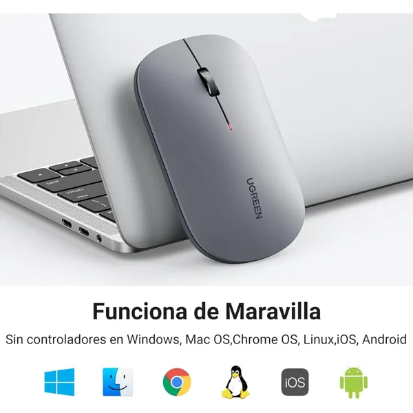 vista 5