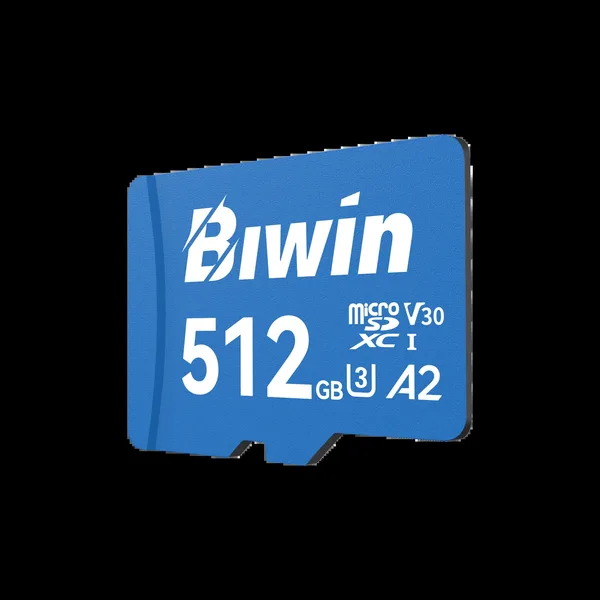 BIWIN