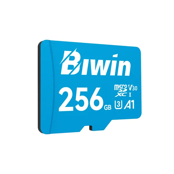 BIWIN